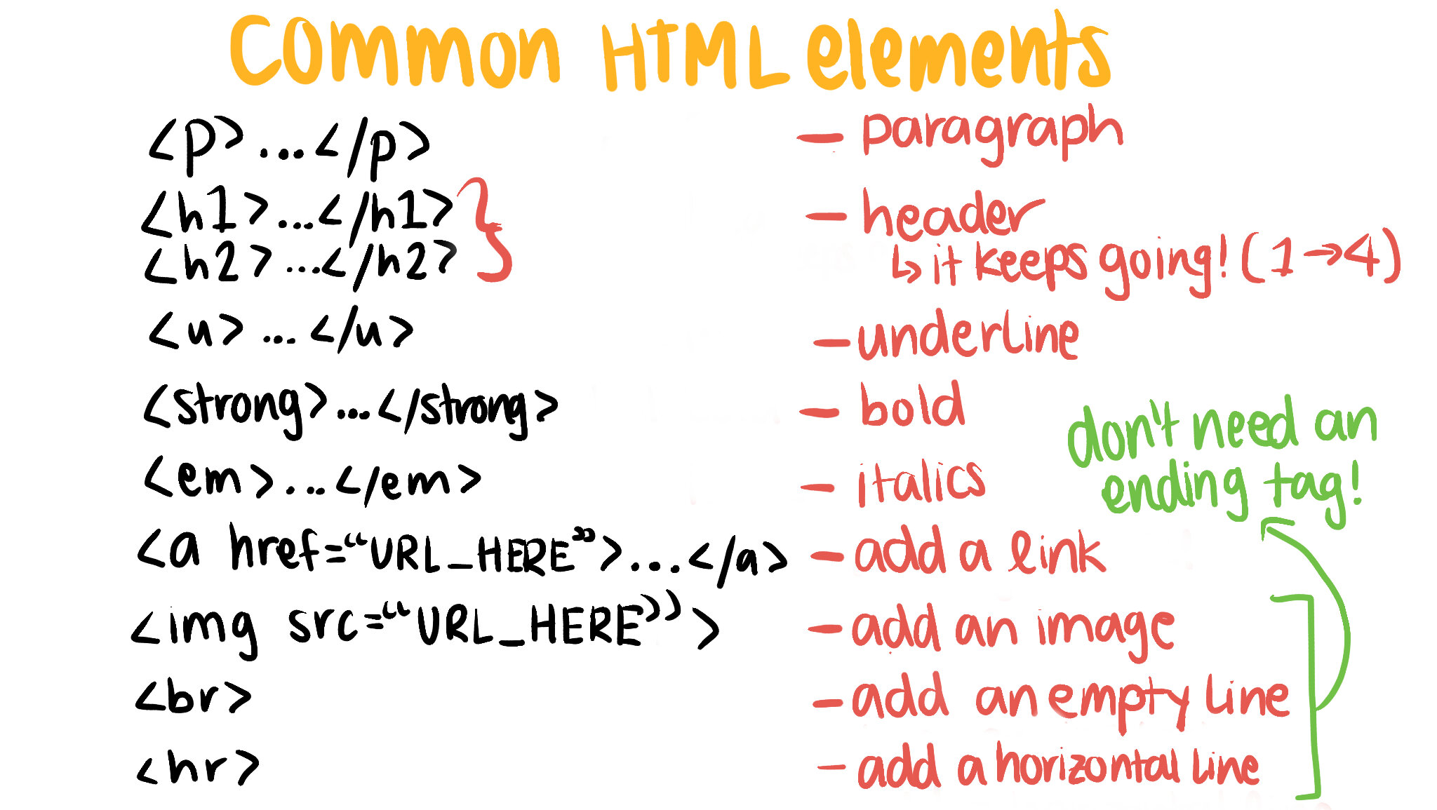 common html tags